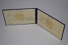 Стоимость диплома техникума УзбекАССР 1975-1991 г. в Кемерово (Кемеровская Область)