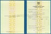 Стоимость Свидетельства о Повышении Квалификации 1997-2018 г. в Гурьевске (Кемеровская Область)